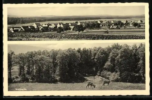 AK Hellertshausen /Hochwald, Teilansicht, Waldpartie