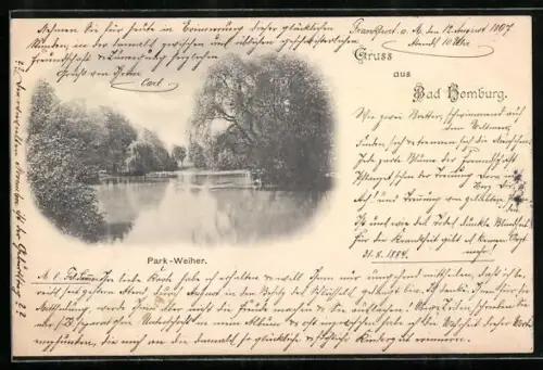 AK Bad Homburg, Park-Weiher