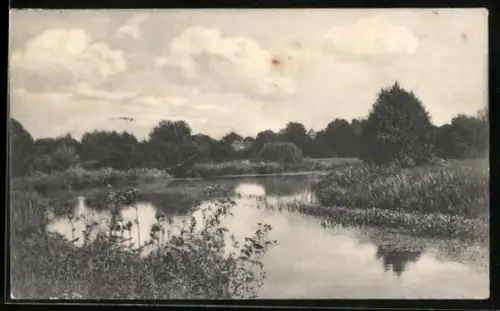AK Dorfmark-Westendorf /Böhmetal, Uferpartie in der Heide
