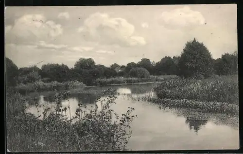 AK Dorfmark-Westendorf /Böhmetal, Uferpartie in der Heide