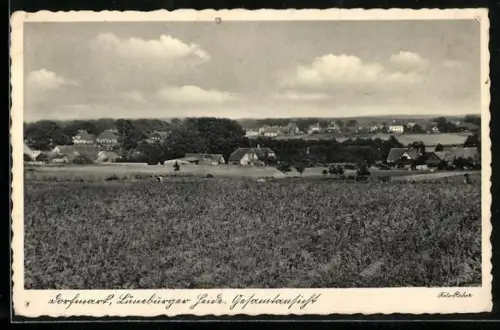 AK Dorfmark /Lüneburger Heide, Gesamtansicht