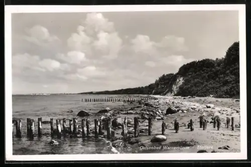 AK Warnemünde, Stoltera, Strand mit Buhnen und Steilküste