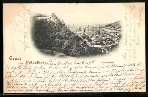 AK Heidelberg / Neckar, Totalansicht