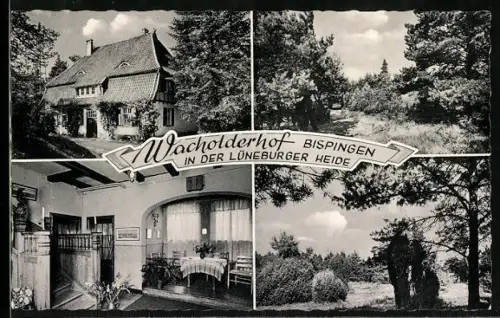AK Bispingen, Wacholderhof, Lüneburger Heide, Innenansicht, Landschaft