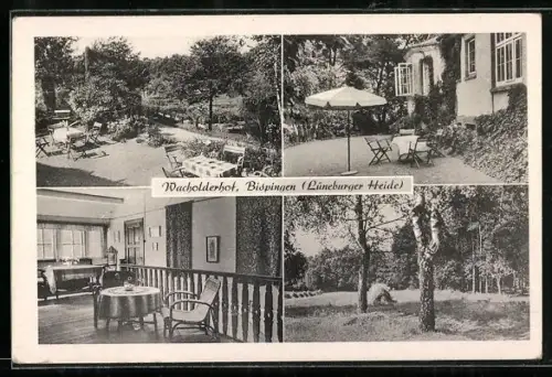AK Bispingen /Lüneburger Heide, Wacholderhof, Gartenansichten, Innenraum