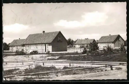 AK Schneverdingen /Lüneb. Heide, Feriendorf
