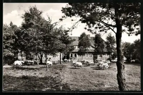AK Schneverdingen, Schäferhof mit Gartenlokal