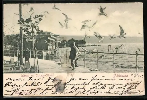 AK Abbazia, Möven am Slatina-Strand