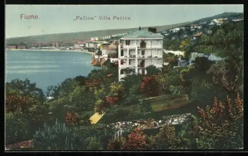 AK Pecine, Villa Pecine