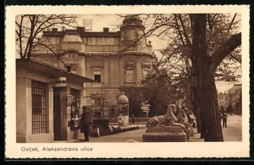 AK Osijek, Aleksandrova ulica