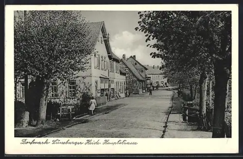 AK Dorfmark /Lüneburger Heide, Hauptstrasse mit Anwohnern