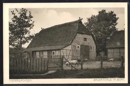 AK Borg / Uelzen, Bauernhaus
