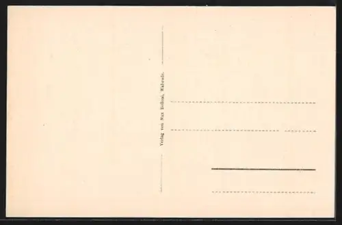 AK Bomlitz, Totalansicht