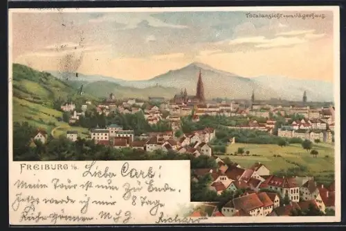 Lithographie Freiburg, Ortspanorama vom Jägerhaus gesehen