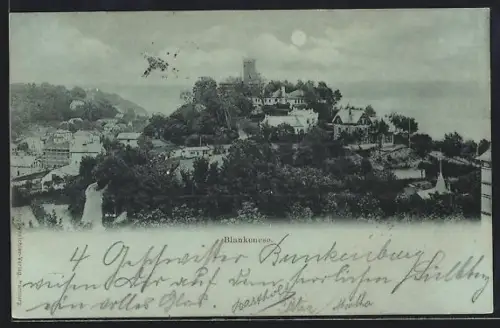 Mondschein-AK Hamburg-Blankenese, Teilansicht
