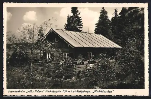 AK Bischofsgrün i. Fichtelgebirge, Fremdenheim Villa Helene, Blockhäuschen
