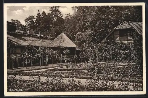 AK Oldenburg i. O., Rosengarten