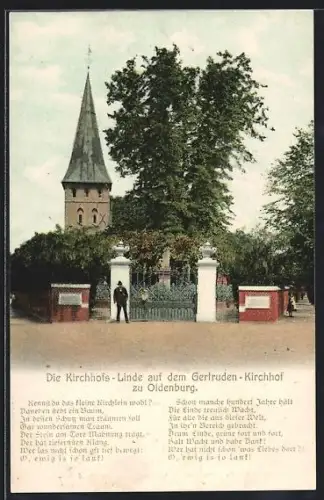 AK Oldenburg / O., Kirchhofs-Linde auf dem Gertruden-Kirchhof