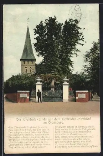 AK Oldenburg / O., Kirchhofs-Linde auf dem Gertruden-Kirchhof