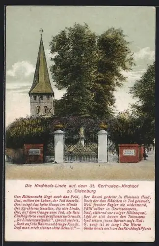 AK Oldenburg / O., Kirchhofs-Linde auf dem St. Gertruden-Kirchhof