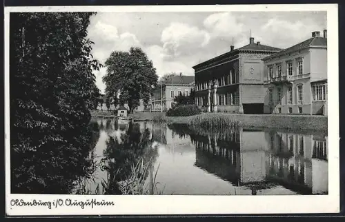 AK Oldenburg i. O., Partie an der Elisabethstrasse mit Augusteum