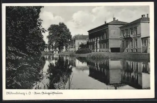 AK Oldenburg i. O., Partie an der Elisabethstrasse mit Augusteum