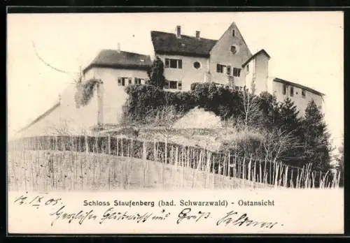 AK Durbach /bad. Schwarzwald, Schloss Staufenberg, Ostansicht
