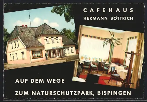 AK Bispingen, Cafehaus Hermann Böttrich, Innenansicht, auf dem Wege zum Naturschutzpark