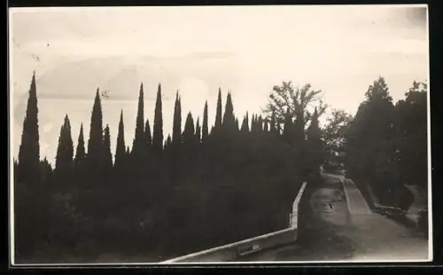 Foto-AK Novi Afon, Parkweg während der Dämmerung