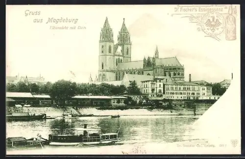 AK Magdeburg, Elbansicht mit Dom, Werbung für Dr. Fischers Essigessenz
