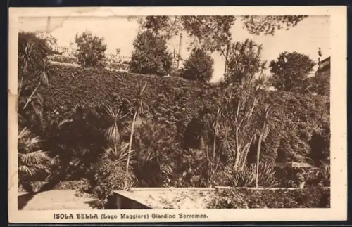 AK Isola Bella /Lago Maggiore, Giardino Borromeo