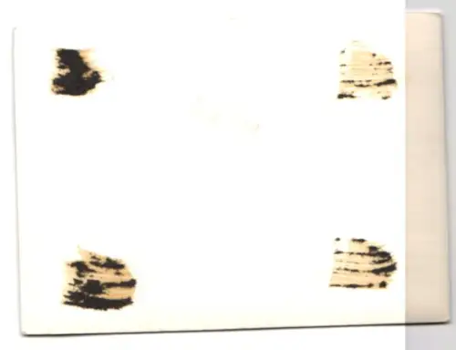 Fotografie Auto IFA, Kennzeichen: KH 29-50