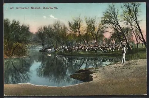 AK D. S. W. Afr., Am Schwarzen Nossob