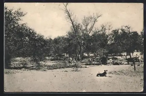 AK Kub /Deutsch-Südwest-Afrika, Farm Kuis am Fischfluss
