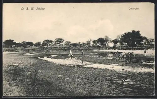 AK Süd-West-Afrika, Omaruru, Tiere an der Wasserstelle