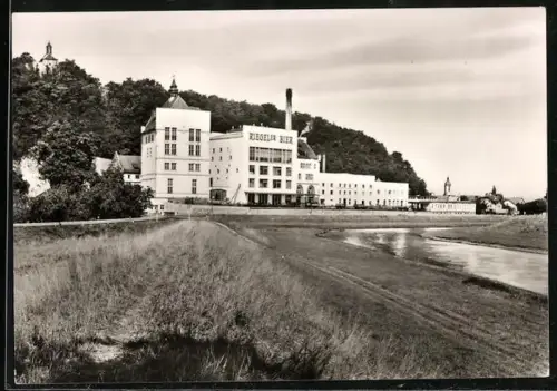 AK Riegel am Kaiserstuhl, Brauerei Riegeler Bier