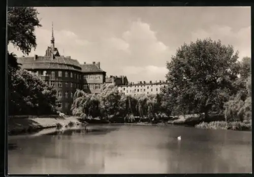 AK Berlin-Weissensee, Schwanenteich