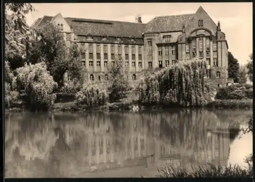 AK Berlin-Weissensee, Weiden am Schwanenteich