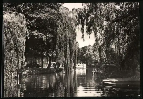 AK Berlin-Müggelheim, Gasthaus Neu-Helgoland, Weiden am Wasser
