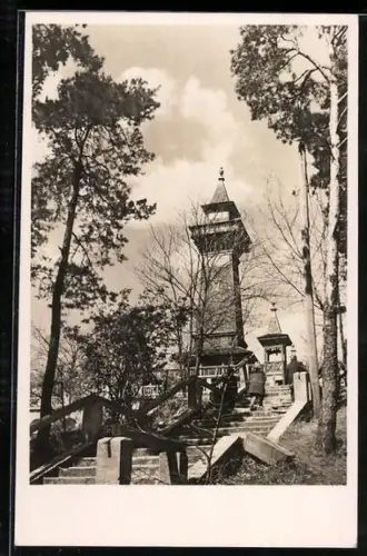 AK Berlin-Köpenick, In den Müggelbergen