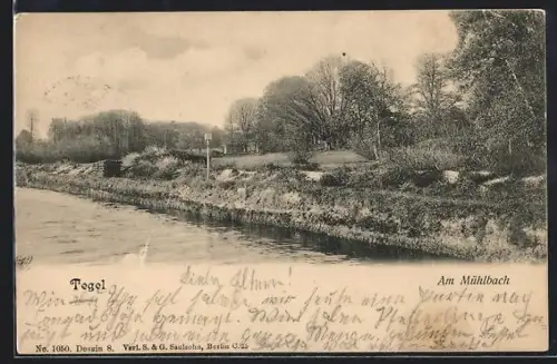 AK Berlin-Tegel, Flusspartie am Mühlbach