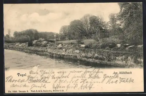 AK Berlin-Tegel, Flusspartie am Mühlbach