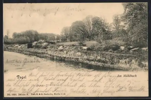 AK Berlin-Tegel, Flusspartie am Mühlbach