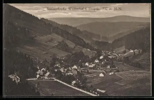 AK Wildenthal i. Erzgeb., Talansicht