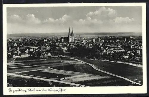 AK Regensburg, Blick von den Winzerhöfen auf die Stadt
