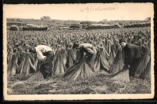 AK Bauern binden das Heu, Heuernte, Landwirtschaft