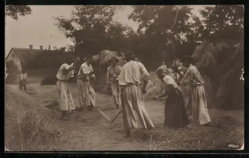 AK Bauern dreschen das Getreide, Landwirtschaft