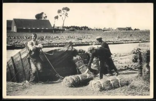AK Bauern verladen das Heu auf einen Kahn, Landwirtschaft