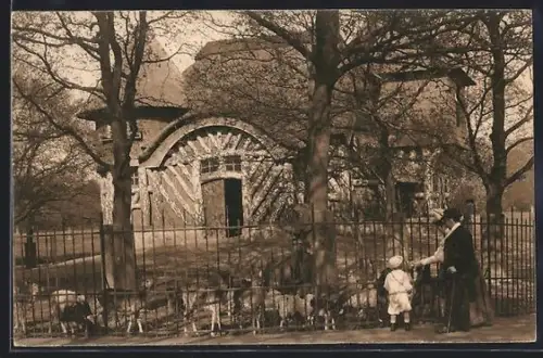 AK Bremen, Reh-Haus im Bürgerpark