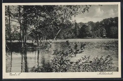 AK Varel i. O., Mühlenteich mit bewaldeten Ufern